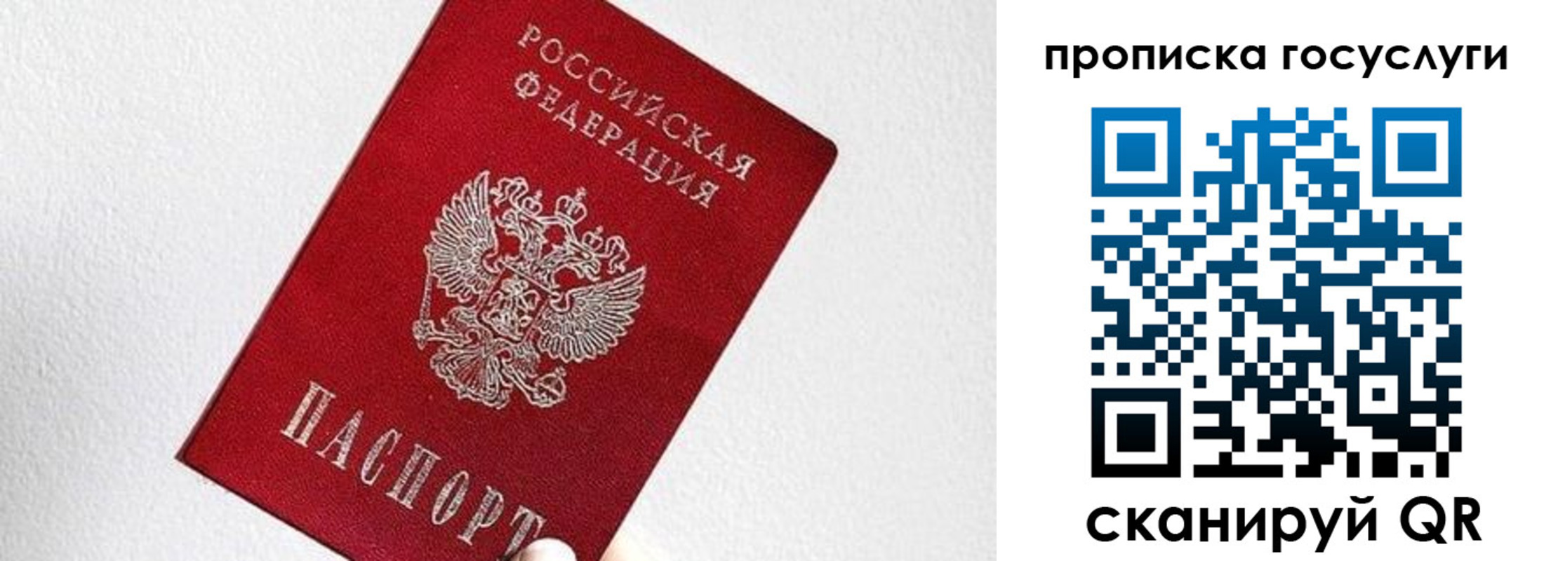 прописка законно в Сосновке